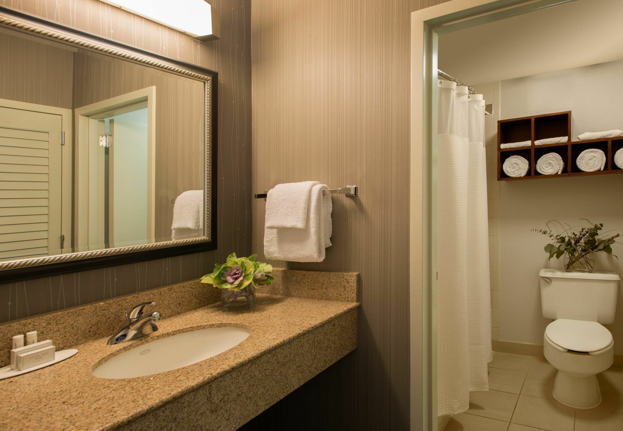 Courtyard Dallas Addison Midway Esterno foto